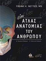 atlas anatomias toy anthropoy photo