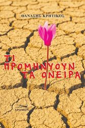 ti prominyoyn ta oneira photo