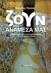 zoyn anamesa mas photo