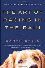 the art of racing in the rain photo
