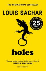 holes photo