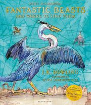 fantastic beasts and where to find them illustrated edition photo