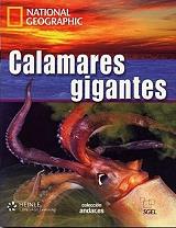 calamares gigantes dvd photo