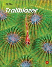 trailblazer 4 bundle students book spark workbook photo