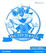 the cat is back junior a test book teachers photo