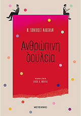 anthropini doyleia photo