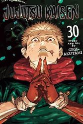 jujutsu kaisen 30 photo