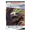 transitions 2 o basilias ton peiraton photo transitions 2 o basilias ton peiraton photo