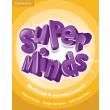 super minds 5 workbook on line resources photo