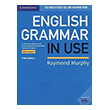 english grammar in use photo