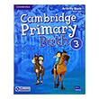 cambridge primary path 3 activity book practice extra photo