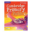 cambridge primary path 4 activity book practice extra photo