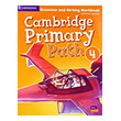 cambridge primary path 4 grammar and writing workbook photo