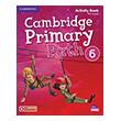 cambridge primary path 6 activity book practice extra photo