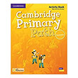cambridge primary path foundation activity book practice extra photo