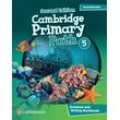 cambridge primary path 5 grammar and writing workbook 2nd ed photo