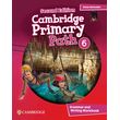 cambridge primary path 6 grammar and writing workbook 2nd ed photo