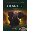 gigantes toy zoikoy basileioy photo gigantes toy zoikoy basileioy photo