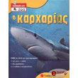 o karxarias photo o karxarias photo