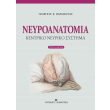 neyroanatomia kentriko neyriko systima photo