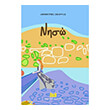 niso photo niso photo