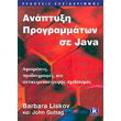 anaptyxi programmaton se java photo