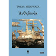 anthidonia photo anthidonia photo