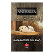 animalia photo