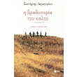 i bradyporia toy kaloy photo i bradyporia toy kaloy photo