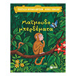 maimoydomperdemata photo maimoydomperdemata photo