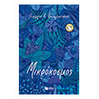 mikrokosmos photo mikrokosmos photo