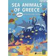 sea animals of greece photo