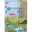 birds animals of greece photo