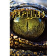 reptiles photo reptiles photo