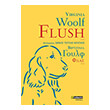 flush photo flush photo