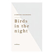 birds in the night photo