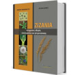 zizania photo zizania photo