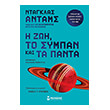 i zoi to sympan kai ta panta photo i zoi to sympan kai ta panta photo