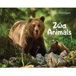 zoa animals photo