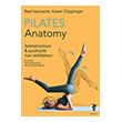 pilates anatomy photo