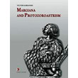 margiana and protozoroastrism photo