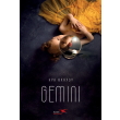 gemini photo gemini photo