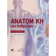anatomiki toy anthropoy photo anatomiki toy anthropoy photo