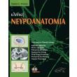 kliniki neyroanatomia photo kliniki neyroanatomia photo