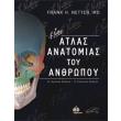 atlas anatomias toy anthropoy photo atlas anatomias toy anthropoy photo