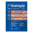 grays anatomia photo grays anatomia photo