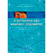 i leitoyrgia toy andrikoy spermatos photo i leitoyrgia toy andrikoy spermatos photo