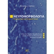 neyromorfologia i lepti yfi toy neyrikoy istoy photo neyromorfologia i lepti yfi toy neyrikoy istoy photo