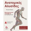 anatomikes alysides photo anatomikes alysides photo