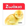 zoakia photo zoakia photo